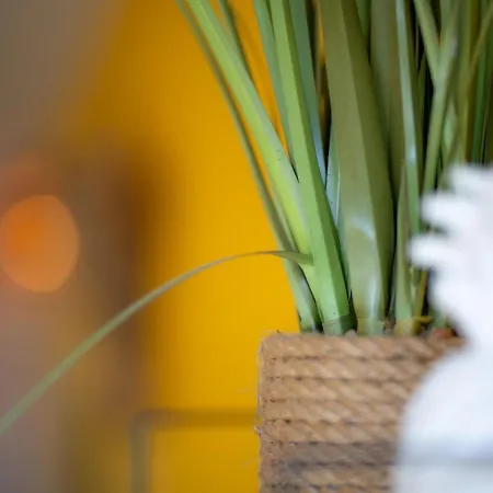 Apartment Sandy - Acces Direct Lm Sud Palavas-les-Flots